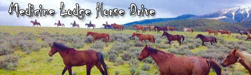 Medicine Lodge Horse Drive